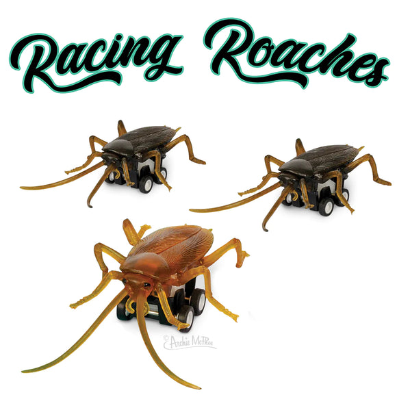 Archie McPhee -  Racing Roaches