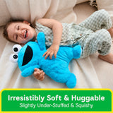 GUND Disney Oh-So-Snuggly Cookie Monster 12.5"