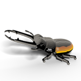 EUGY Cardboard Model Kit: Stag Beetle