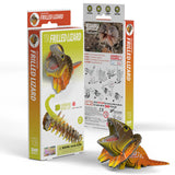 EUGY Cardboard Model Kit: Frilled Lizard