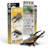 EUGY Cardboard Model Kit: Stag Beetle
