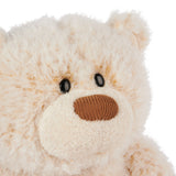 Gund Bubbles Bear 10"