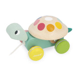 Janod Zigolos Pull Along Turtle