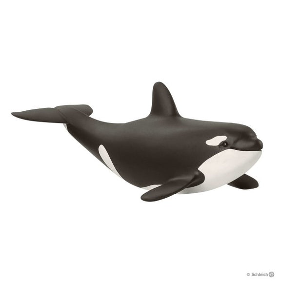 Schleich Baby Orca - Discontinued