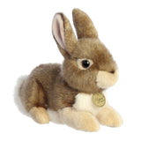 Miyoni by Aurora Eastern Cottontail Rabbit 11"