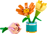 LEGO® Friends Friendship Flowers 30635