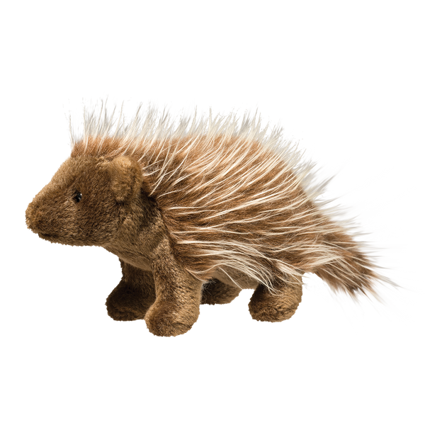 Douglas Percy Porcupine 12