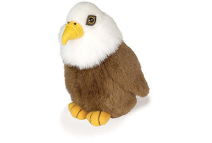 Audubon Bald Eagle