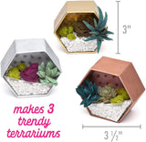 Craft Crush Mini Terrariums Kit