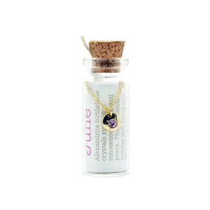 Lucky Feather Birthstone Bottle Necklace: June