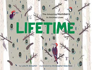 Lifetime - The Amazing Numbers in Animal Lives