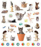 Eye Like Stickers: Kittens