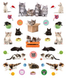 Eye Like Stickers: Kittens