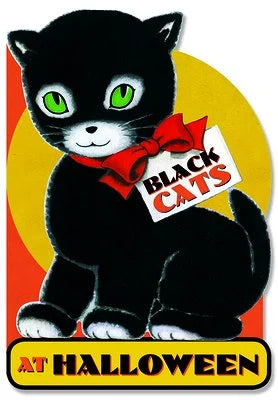Black Cats at Halloween