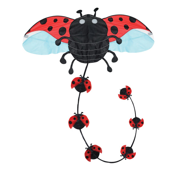 Brookite Ladybug Kite