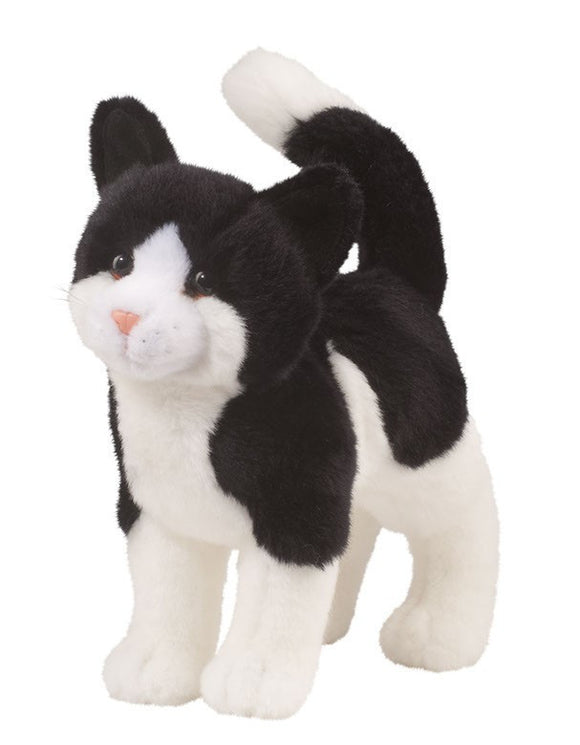 Douglas Scooter Black & White Cat 12