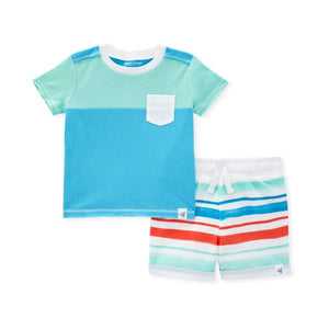 Burt's Bees Organic Baby Tee & French Terry Short Set Color Blocked
