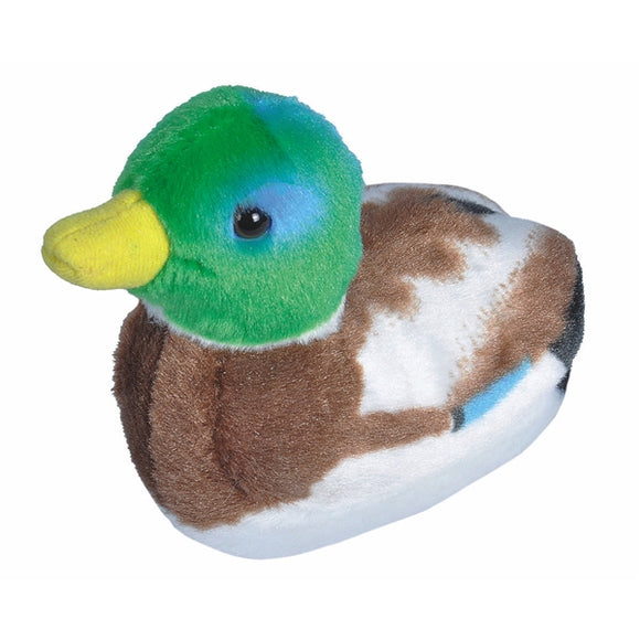 Audubon Mallard Duck