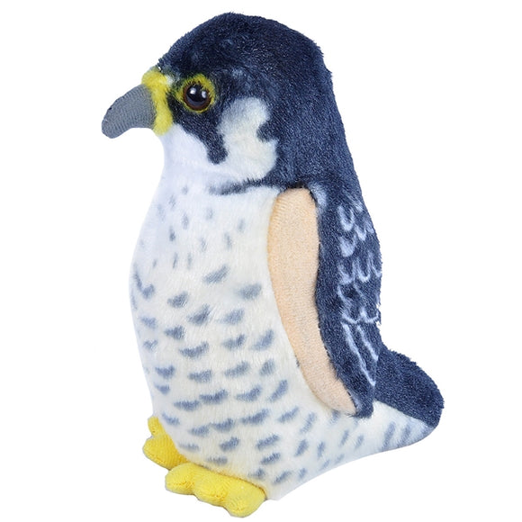 Audubon Peregrine Falcon
