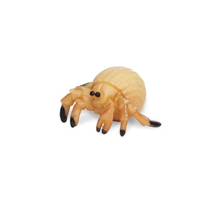 Safari, Ltd. Good Luck Minis®: Hermit Crab