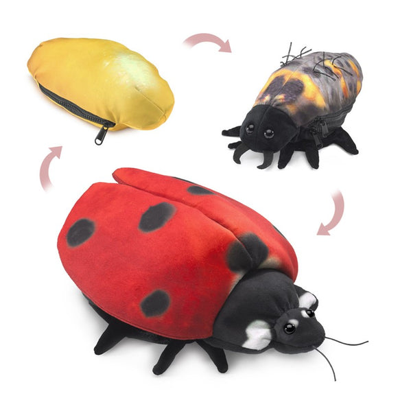 Folkmanis® Reversible Hand Puppet: Ladybug Life Cycle