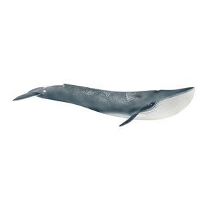 Schleich Blue Whale