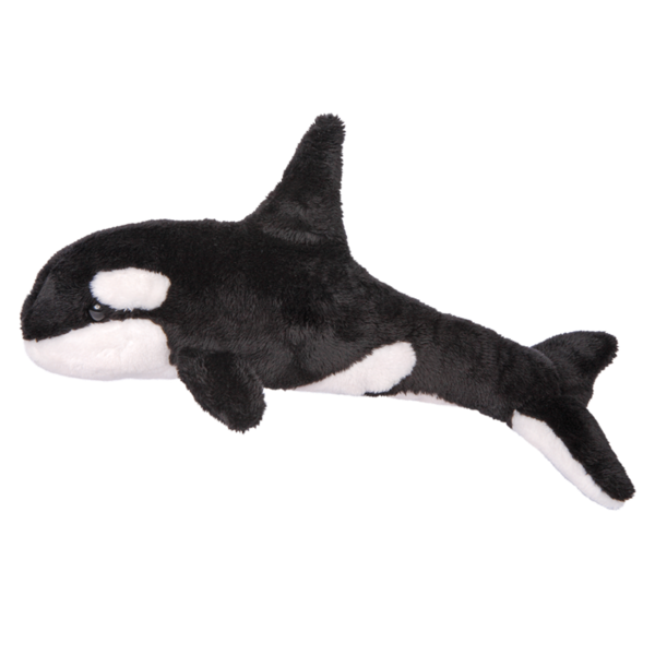 Douglas Spout Orca Whale 13
