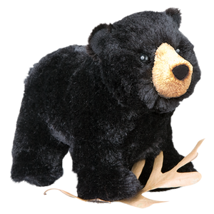 Douglas Morley Black Bear 8"