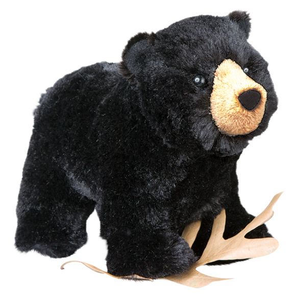 Douglas Morley Black Bear 8