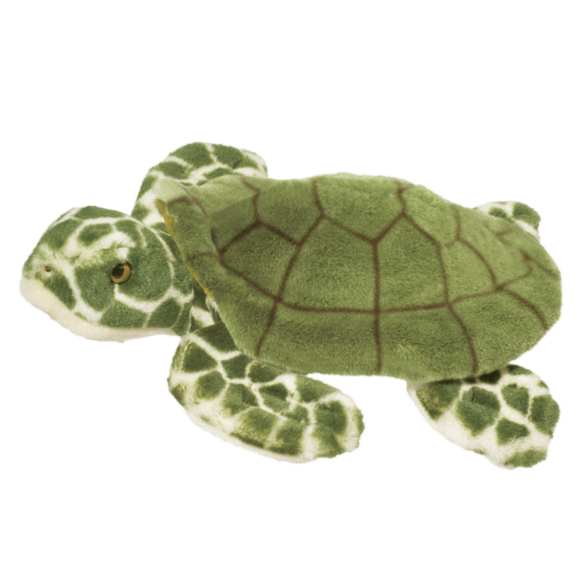 Douglas Toti Turtle 13