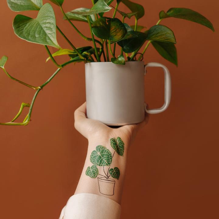 Tattly Pairs Calathea Plant Tattoo – Growing Tree Toys