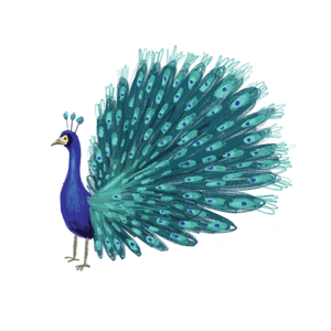 Tattly Pairs Blue Peacock Tattoo