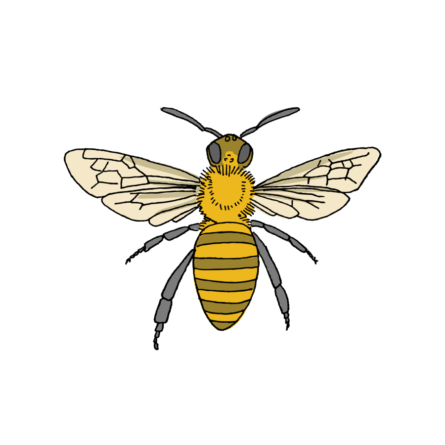 Tattly Honey Bee Tattoo - Thumbnail 2