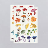 Tattly Sheet Colorful Mushrooms Tattoos