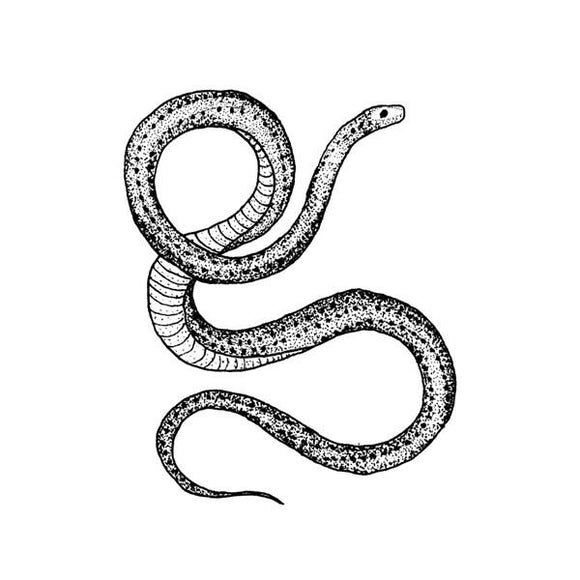 Tattly Pairs Serpent Tattoo
